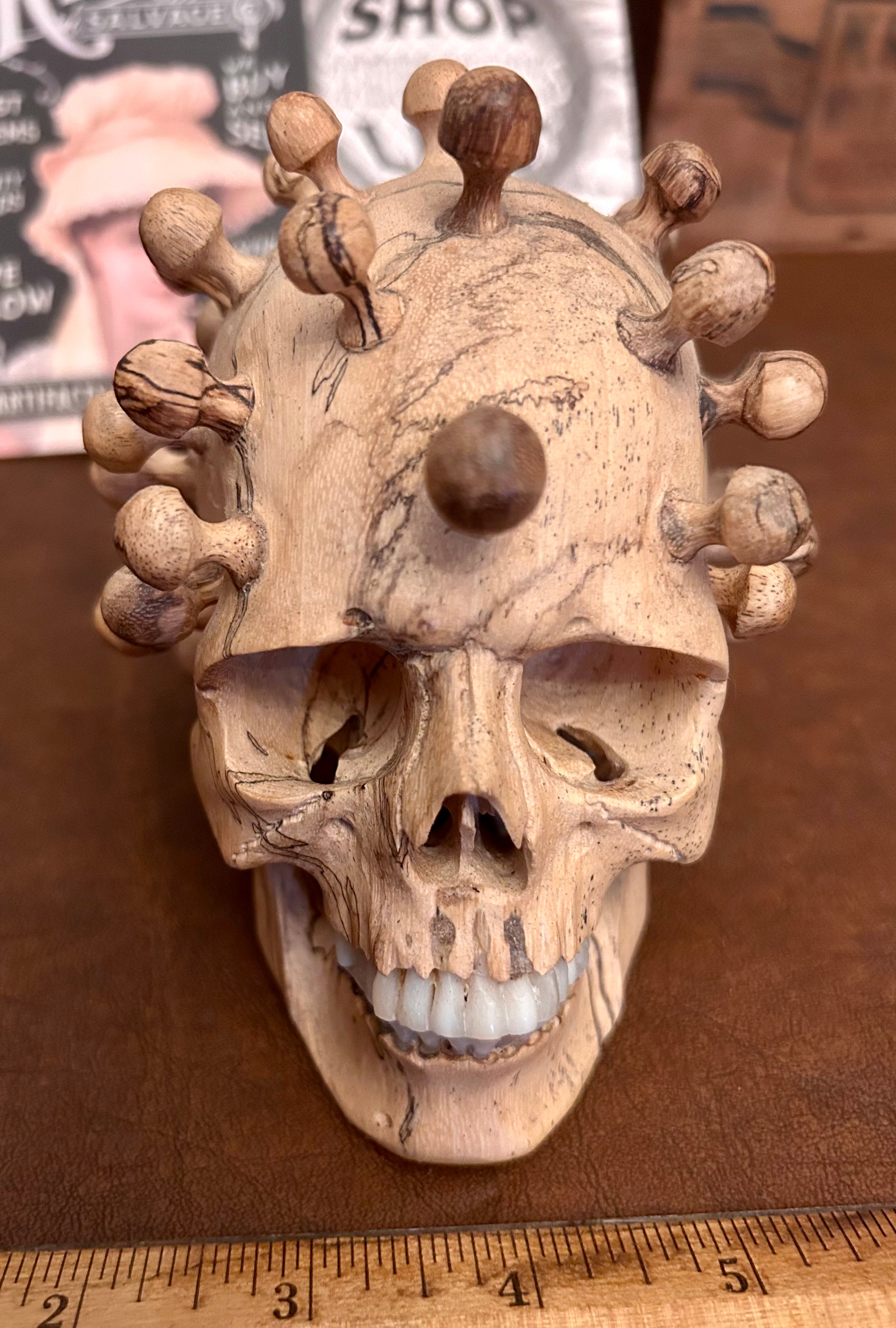 Exotic Wood Skull with Bone Teeth